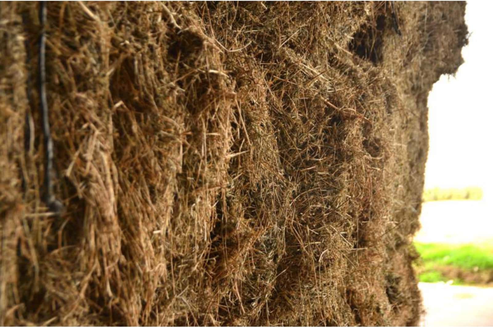 Detalle de alfalfa compactada en un megafardo