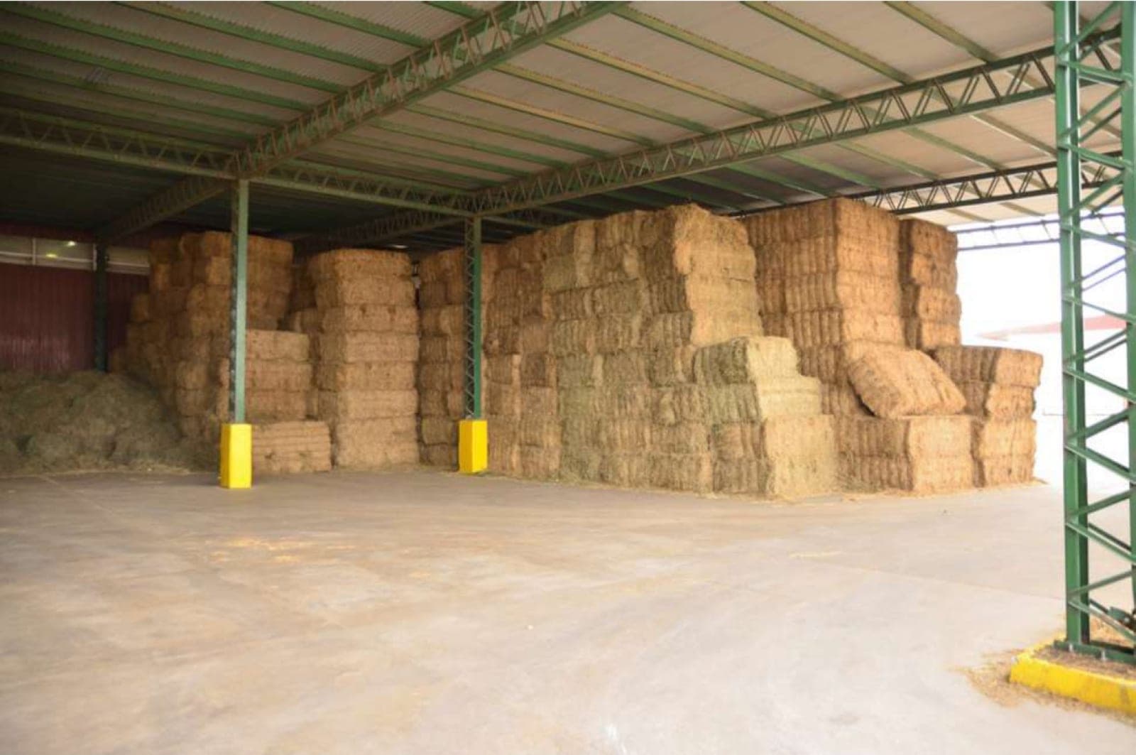 Megafardos de alfalfa almacenados para su comercialización