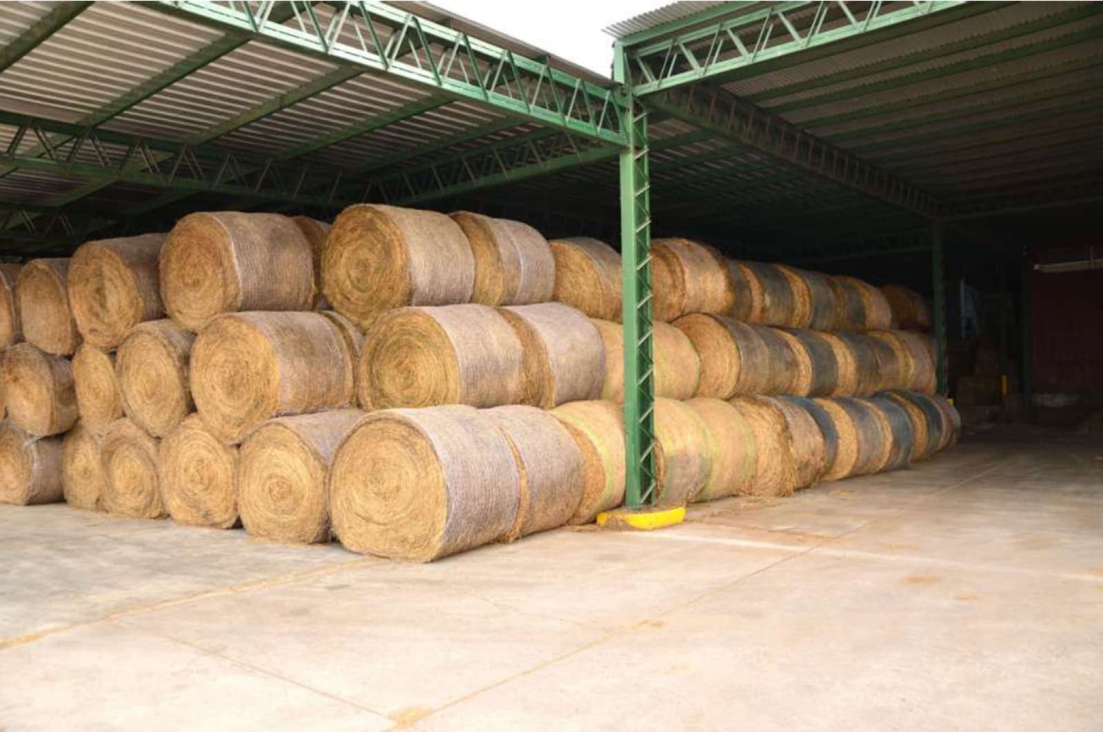 Rollos de alfalfa almacenados bajo cubierta