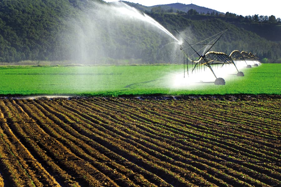 Insumos agrícolas disponibles mediante consulta comercial